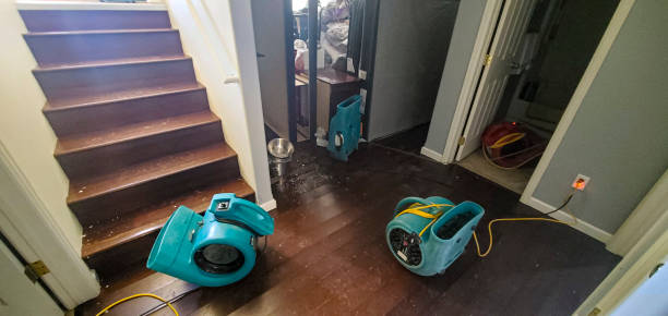 Best Water damage restoration near me  in Los Osos, CA