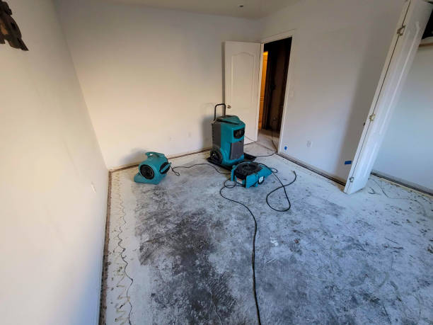 Best Sewage cleanup and water damage restoration  in Los Osos, CA