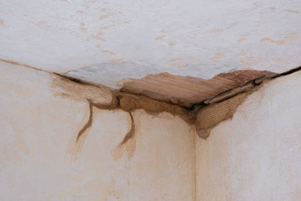 Best Basement water damage restoration  in Los Osos, CA