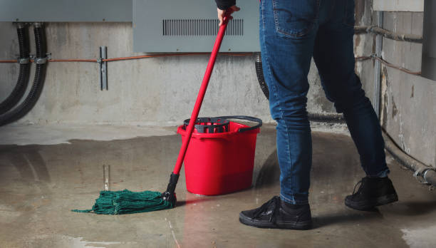 Best Flood damage cleanup  in Los Osos, CA