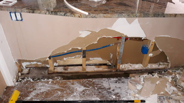 Best Water damage cleanup near me  in Los Osos, CA