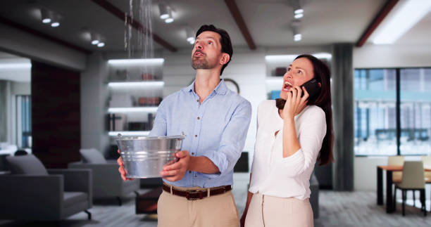  Los Osos, CA Water damage restoration Pros